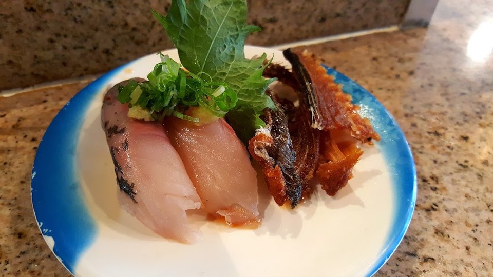 Spanish Mackerel